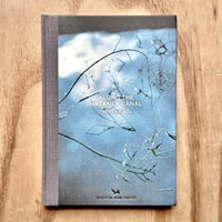 Image 1 of Freya Najade - Along the Hackney Canal