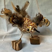 Image 2 of Brown Bird Gourds
