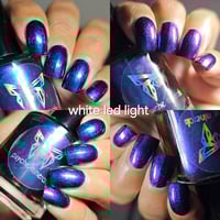 Image 2 of Pawsitively Spooky