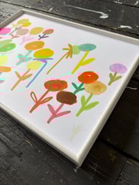 Image 2 of Daily Flowers 080225