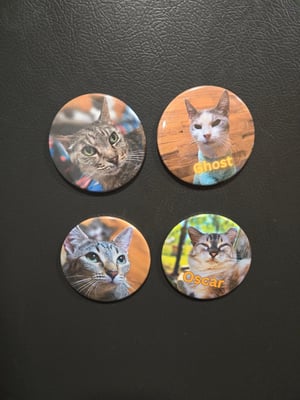 Image of Photo Magnets 