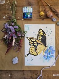 Image 1 of "Swallowtail" Original