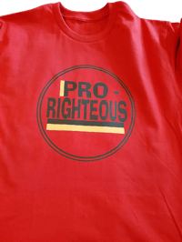 Image 8 of Pro Righteous T Shirt 
