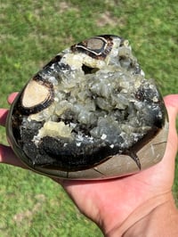 Image 11 of Septarian Nodule Polished Freeform With UV Calcite Inclusions| Madagascar #2893