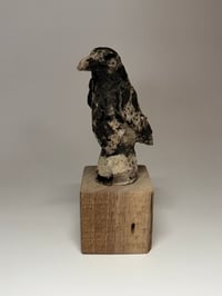 Image 4 of “Karl”