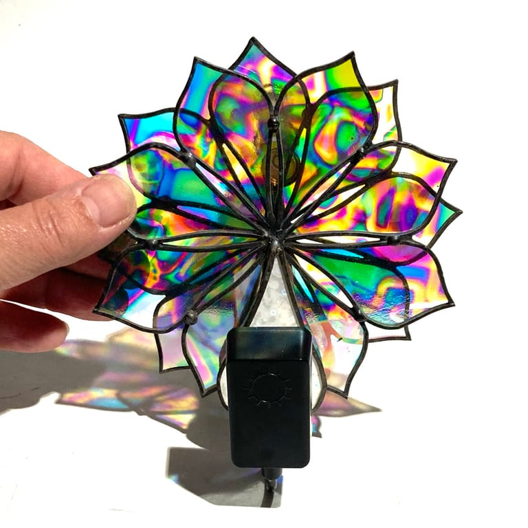 Natural Connection Image 2