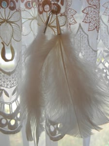 Image of Wiccus Feather Earrings