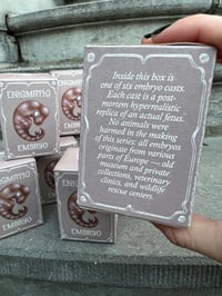 Image 5 of Enigmatic embryo box