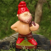 Image of Footy Gnome