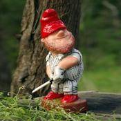 Image of Cricket Gnome