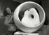 Portal for Barbara Hepworth  Image 7