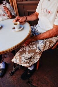 Image 1 of TAPESTRY JORTS