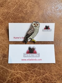 IBRCE Hume’s Owl Pin Badge