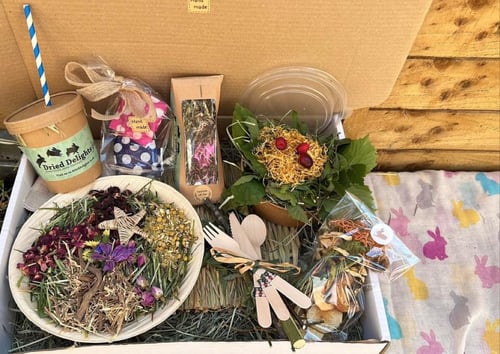 Image of May ‘picnic’ 2024 monthly subscription box 