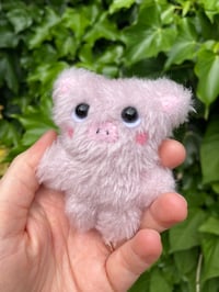 Image 3 of Pip the Mini Fluffy Pig