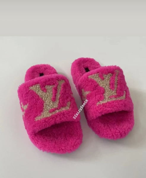 Image of LV Slides 