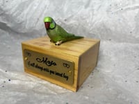 Image 14 of Handmade Custom Engraved Indian Ring Neck Parrot Urn Handpainted Pet Portrait