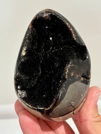 Image 1 of Septarian Nodule Polished Freeform | Madagascar #2900