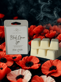 Image 1 of Perfume wax melts  collection 