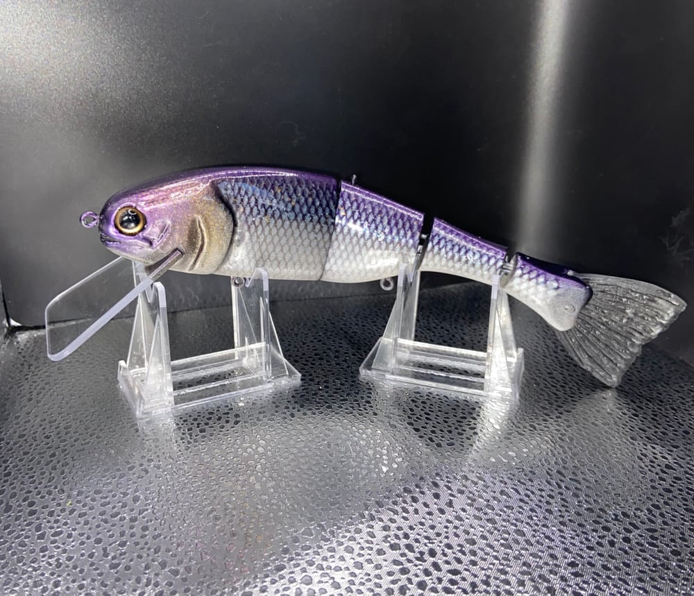 9” Shad - Image 1