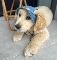 Image 2 of Light Ripped Denim Pet Bucket Hat