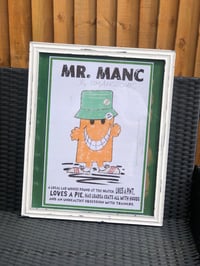 Image 8 of Mr Manc 