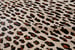 Image of 676685001405 Togo Cheetah