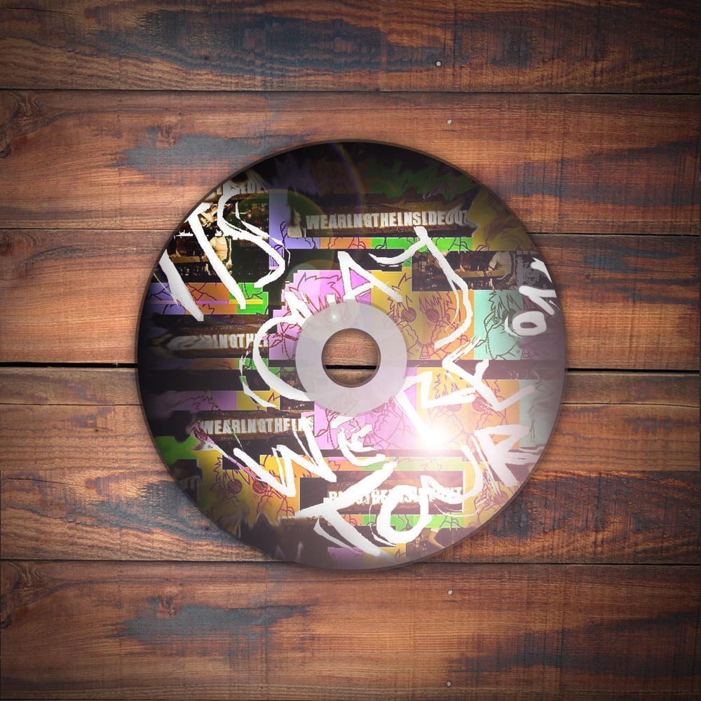 Image of "It's Okay We're On Tour" CD