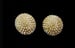 Image of Gold Rhinestone Clip Earrings 