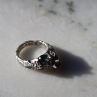 Image 4 of Castle Mountain Ring