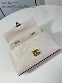 Image 16 of LV Nano Madeleines Bag