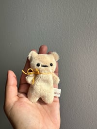 Image 2 of Tiny Ted