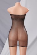 “Bria Sheer Mini Dress”