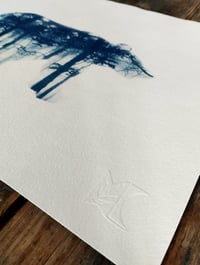 Image 4 of Cyanotype de "Balade en forêt"