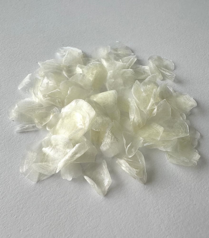 Image of Natural fish scales