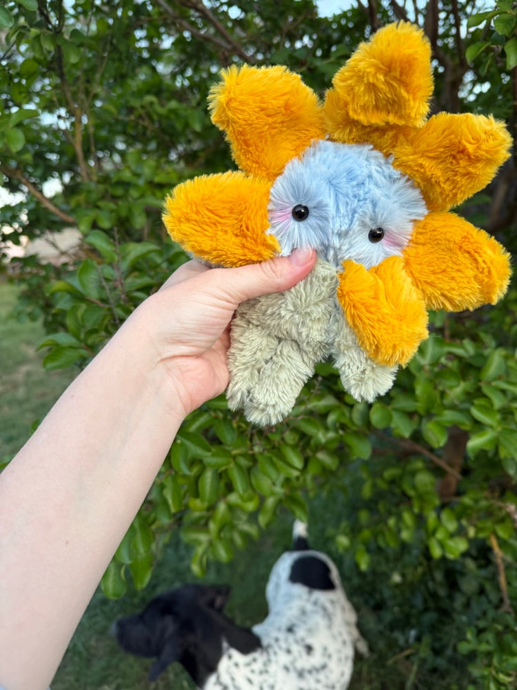 Image of Little flower