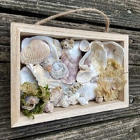 Image 4 of Beach Box #5