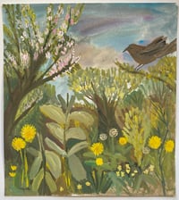 Crab apple blossom in the meadow