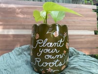 Image 3 of Lemon Lime Pothos in "Plant Your Own Roots" Pot