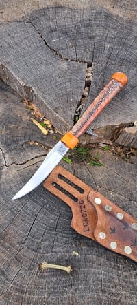 Image 2 of Turkey Spur Buck-N-Bream