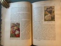 Image 9 of Le jardin d’agrément, L-J.Troncet, édition Larousse, 1908