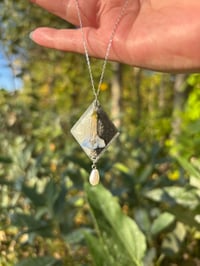 Image 5 of Once in a Bluebell Moon