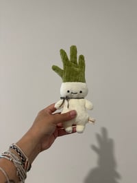 Spring Onion Baby
