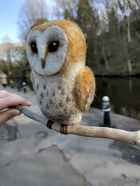 Image 4 of Needle Felted Barn Owl 