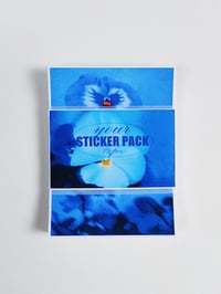 Image 1 of STICKERS -  25 PCS