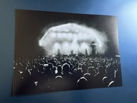 The Gaslight Anthem (2000 Trees) 1