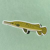Image 1 of Alligator Gar Sticker