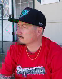 Image 4 of Panther SnapBack 