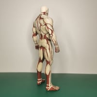 Image of Gigante Corazzato | Shingeki no Kyojin | Attacco dei Giganti 