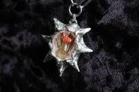 Image 6 of dead good snail mushroom and bee wing spiky necklace